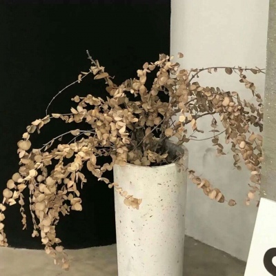 兽设四季场景设计兽圈社群